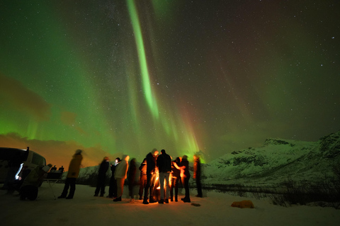 Tromsø: Tour dell&#039;aurora boreale con ritratto professionale gratuito