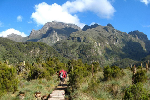 Kampala: 2-Day Rwenzori Mountains Hiking Tour