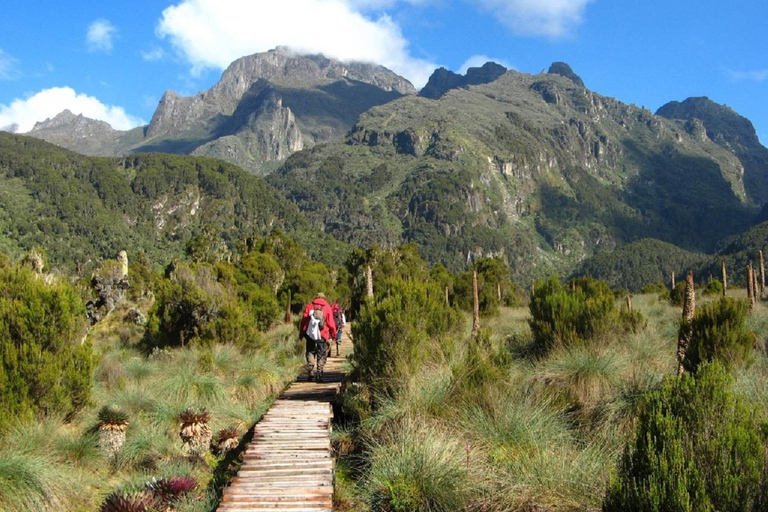 Kampala: 2-Day Rwenzori Mountains Hiking Tour