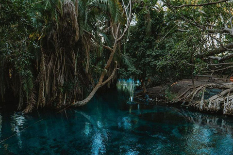 Excursión de un día a las termas de Chemka