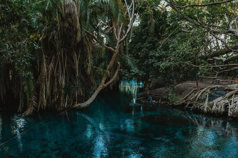 Excursión de un día a las termas de Chemka