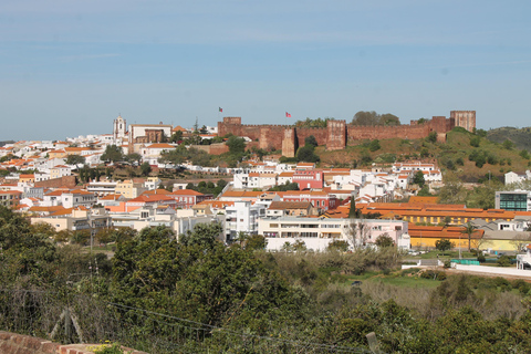 Algarve Jeep Silves Tour - Halfday 4H
