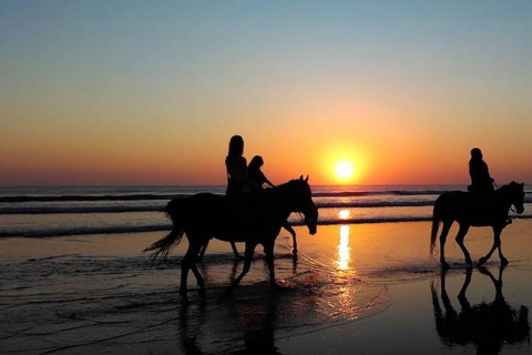 Agadir y Taghazout 2 horas a caballo y masaje relajanteAgadir o Taghazout: Paseo a caballo y masaje relajante