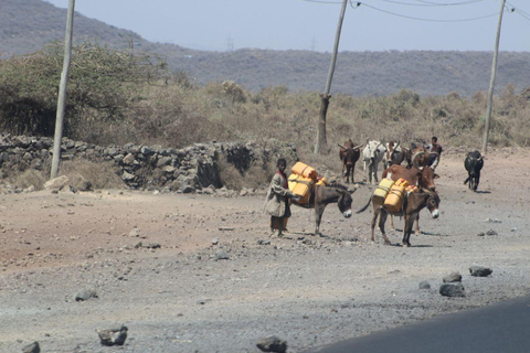 Addis Ababa: 2-Day Awash National Park Tour & Hot Springs