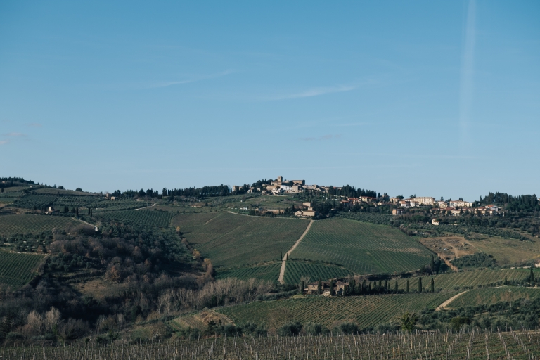 Ab Florenz: Chianti Hills Wineries Tour mit VerkostungChianti Hills Wineries Tour auf Englisch mit Verkostung