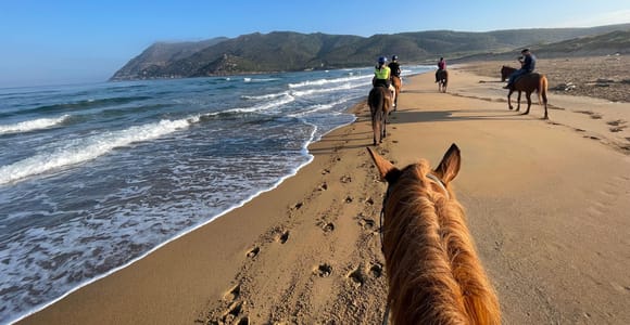 Horseback tour on the beach of Porto Ferro in Alghero