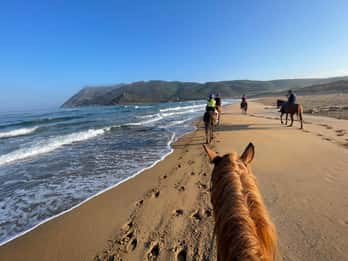 Horseback riding tour on Porto Ferro beach in Alghero