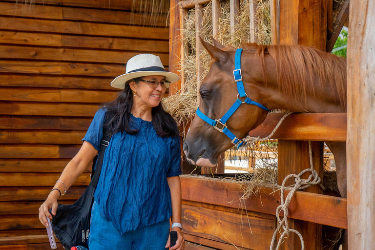 Punta Cana: Travesía World Show Experience at Panaca