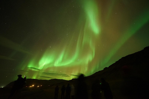 Reykjavik: Minibús en grupo pequeño Northern Lights