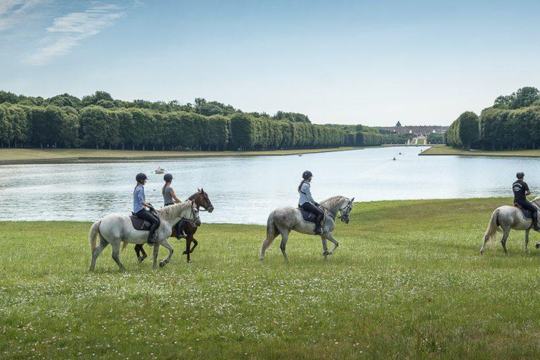 Przejażdżka konna Wersal Intymność &amp; ViPKoń Versailles Intymność &amp; Vip