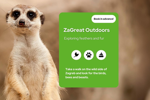 Zagreb: Wissenschaftliche Touren, Zagreat Outdoors