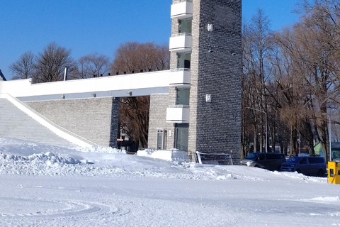 Tallinn singing grounds: story of bees that broke the empire