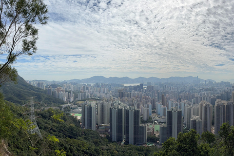 Hong Kong: Tung Shan Skyline Views Guided Hike (2.5 Hours)