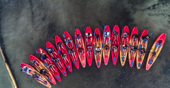 Fajardo: Bioluminescent Bay Kayak Tour in Puerto Rico