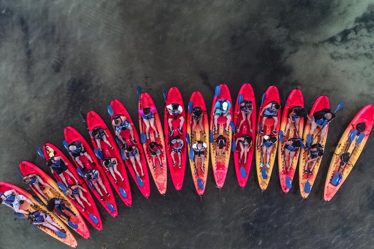 Fajardo: Bioluminescent Bay Kayak Tour in Puerto Rico