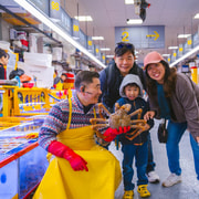 Taste of Busan: Eat Like a Local: Street Food & Seafood