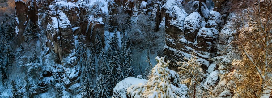 Pont panoramique de Bastei avec tour en bateau et déjeuner au départ de Dresde