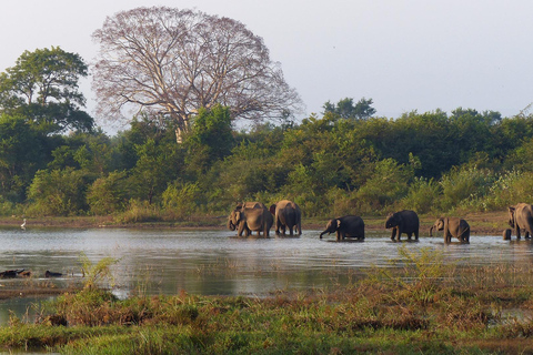 Fully-Loaded Sri Lanka | FREE trip to Sigiriya and Dambulla