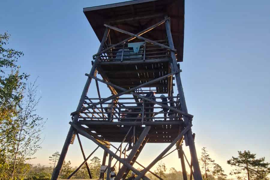 Selbstgeführte Wanderung im Naturschutzgebiet Kõrvemaa mit Transfer. Foto: GetYourGuide Selbstgeführte Wanderung im Naturschutzgebiet Kõrvemaa mit Transfer. Foto: GetYourGuide