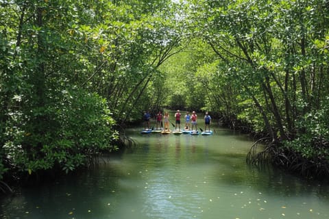 Siargao: Mangrove Paddleboarding w/ Mud Spa Experience - Image 2