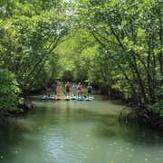 Siargao: Mangrove Paddleboarding w/ Mud Spa Experience Siargao: Mangrove Paddleboarding w/ Mud Spa Experience