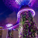 Singapore: crociera fluviale serale con Garden Rhapsody e Spectra