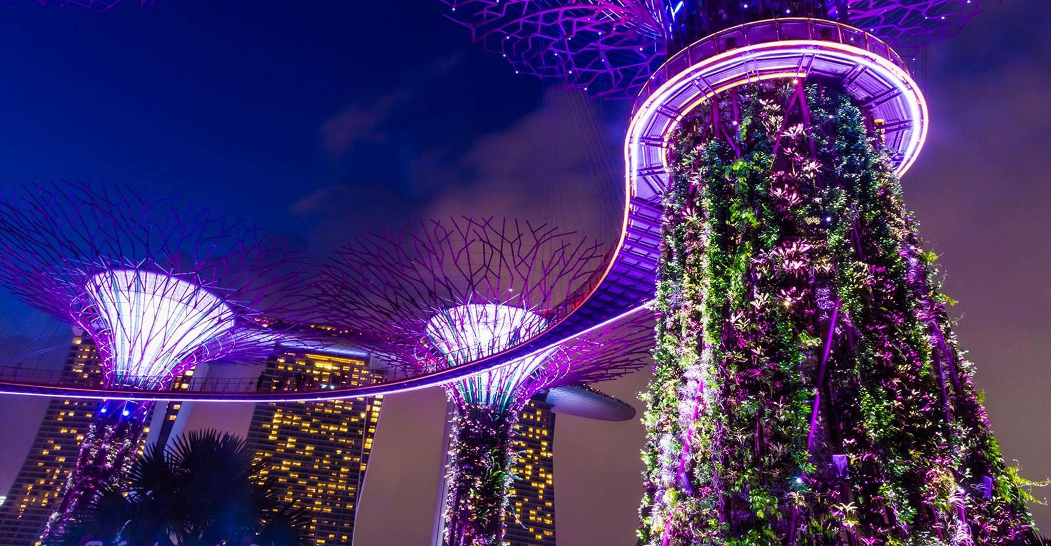 Singapore Night River Cruise with Garden Rhapsody & Spectra