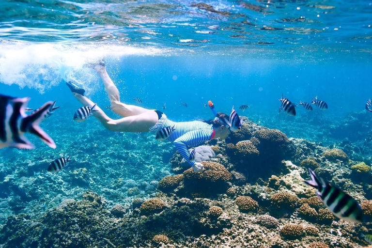 From Hurghada: Orange Island Snorkeling Cruise with Lunch