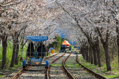 Seoul: Samaksan Seilbahn & Nami mit Alpaka World/Railbike