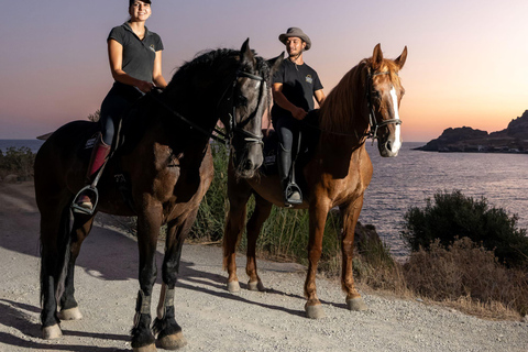 Creta a Caballo: Hipnotizante paseo al atardecerCreta a Caballo: Hipnotizante viaje al atardecer