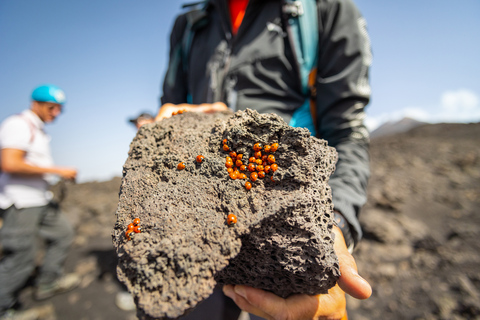 Etna: wjazd koleją linową i jeepem oraz wędrówka na szczyt