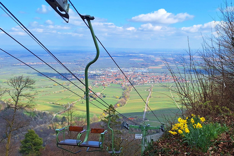 From Heidelberg: Palatinate Superlatives Adventure Tour with Panorama Box Seat Public Group Tour