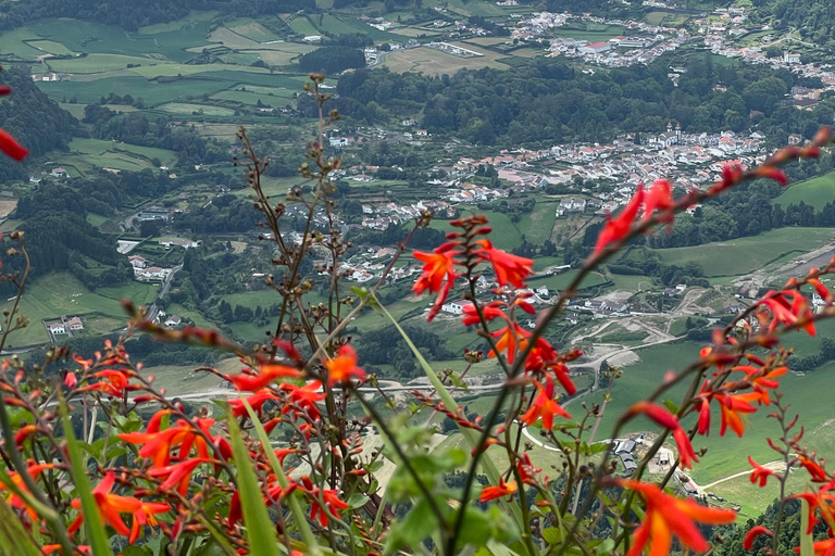 Incroyable vallée de Furnas, excursion d&#039;une journée.