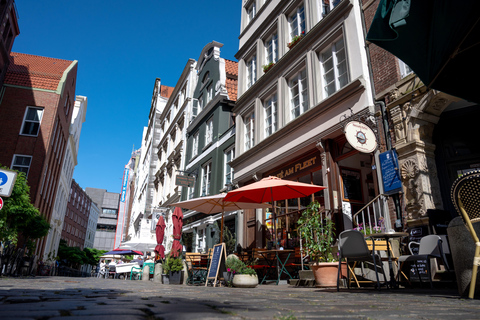 Hamburg: Historic WW2 Walking Tour & Panorama in Small Group