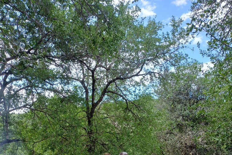 St Lucia: 2-in-1 Hluhluwe-iMfolozi and iSimangaliso Safari