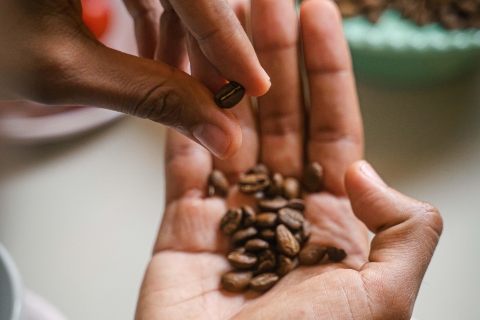 De la graine à la tasse : Dégustation de cafés de spécialité colombiens.