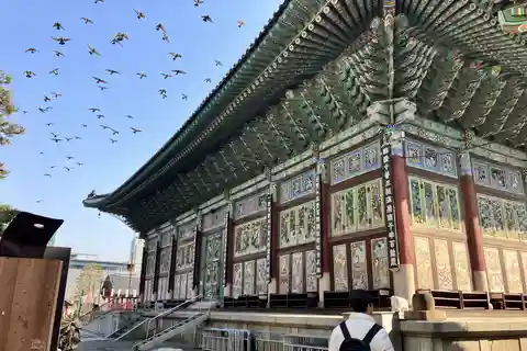 Séoul : Visite du musée de la guerre, du Jogyesa et du parc Tapgol