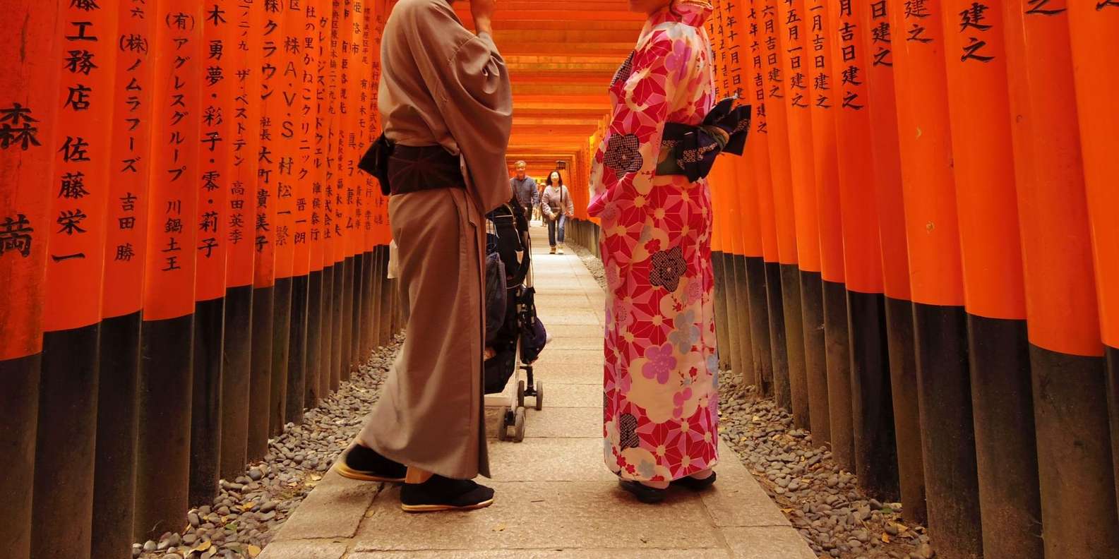 Kyoto experience — temples, geisha, bamboo grove — image 1