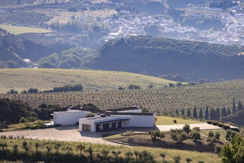 From Málaga: Ronda & Winery Experience with Wine Tasting Spanish Tour