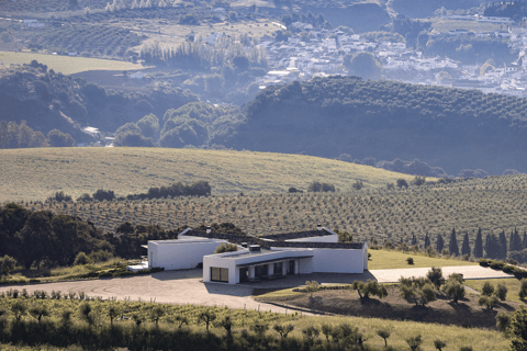 Von Málaga aus: Ronda & Weingut-Erlebnis mit WeinverkostungSpanische Tour