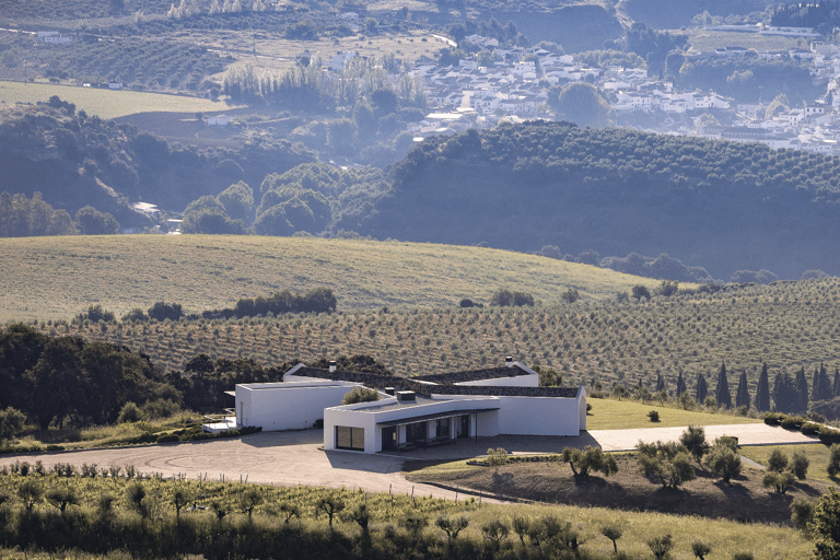 Depuis Malaga : Ronda et expérience viticole avec dégustation de vinTour d'Espagne