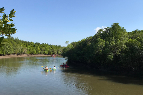 Ko Lanta : Visite d'une demi-journée en kayak dans la mangrove avec déjeuner