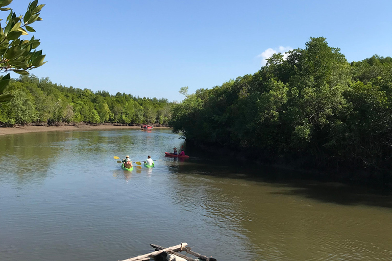 Ko Lanta : Visite d'une demi-journée en kayak dans la mangrove avec déjeuner