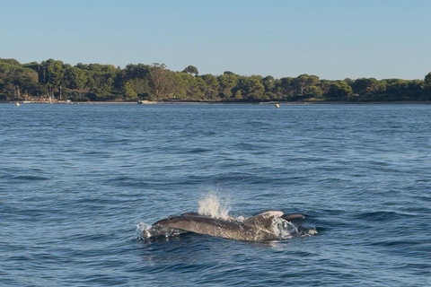 Magical VIP cruise tour in Cannes - Stand-up paddleboarding, diving, champagne Full-Day Cruise Tour - 2H - Lérins Islands