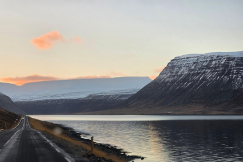 Ísafjörður: Seal Colony, Avalanche Town & Fjord Views Tour