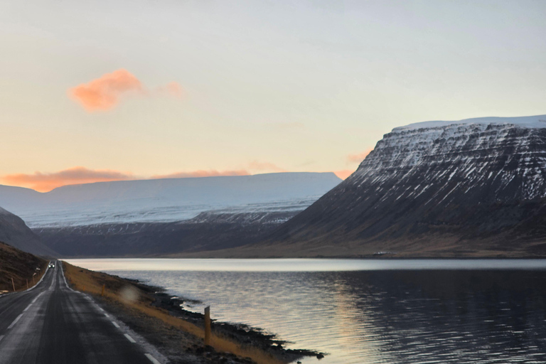 Ísafjörður: Seal Colony, Avalanche Town & Fjord Views Tour