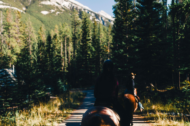 Pemberton Hill: Scenic Horseback Ride for Beginners