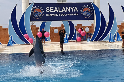 Alanya: tour del parco dei delfini di Sealanya con spettacolo di delfini