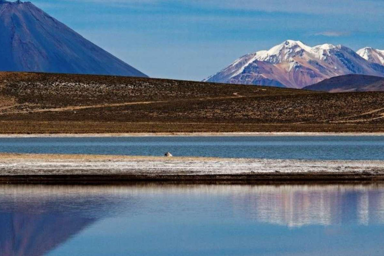 Lagoon and Salinas National Reserve in Arequipa