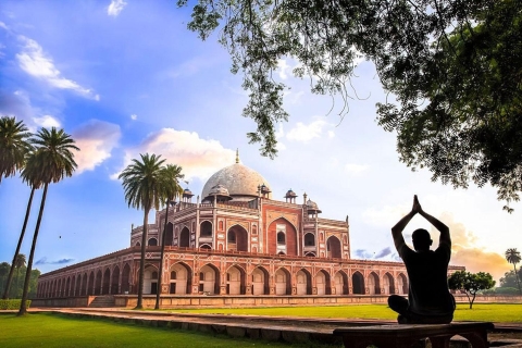 Delhi: Halbtägige Stadtrundfahrt mit Guide